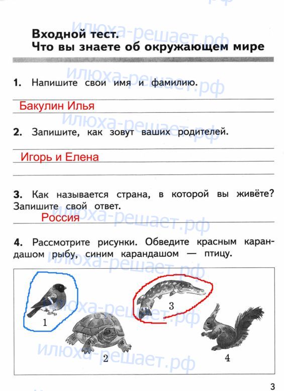 Страницы тетради: 3 - решение