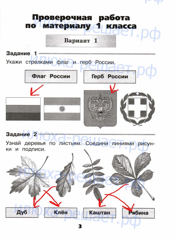 Страницы тетради : 3 - решение Страницы тетради : 3 - решение