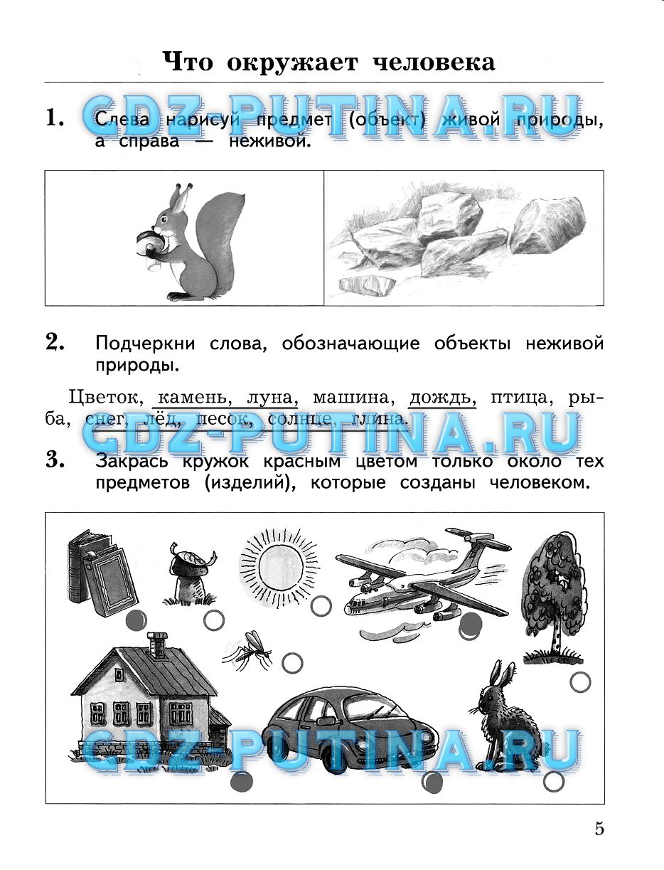 Часть 1. Задания из рабочей тетради: с.5 - решебник №1