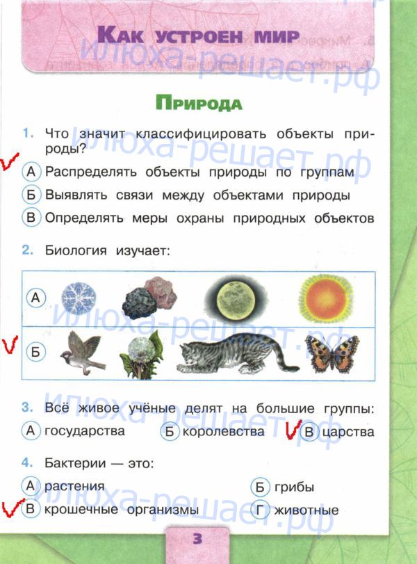 Тестовые задания : стр. 2 - решение Тестовые задания : стр. 2 - решение