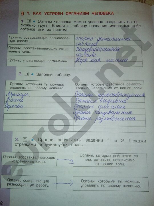 Часть 1. Страницы рабочей тетради:  2 - решебник №2