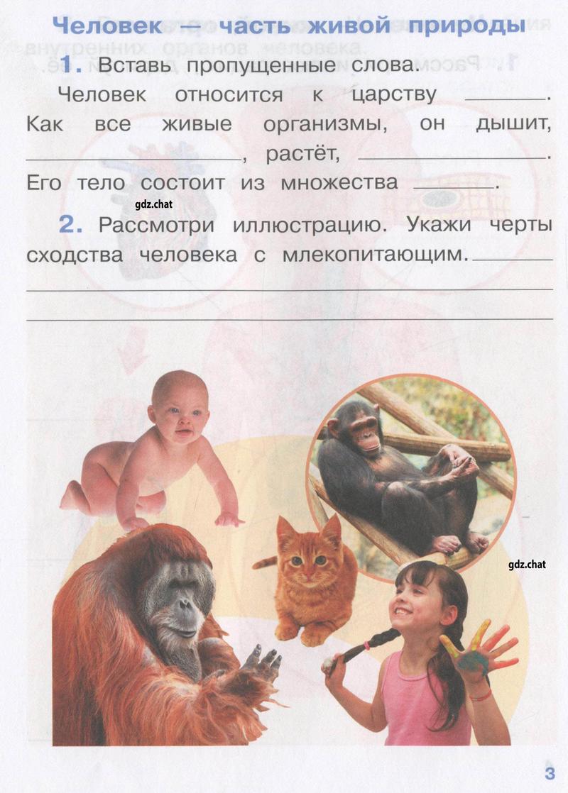 Часть 1. Упражнения из пособия: стр. 3 - условие Часть 1. Упражнения из пособия: стр. 3 - условие