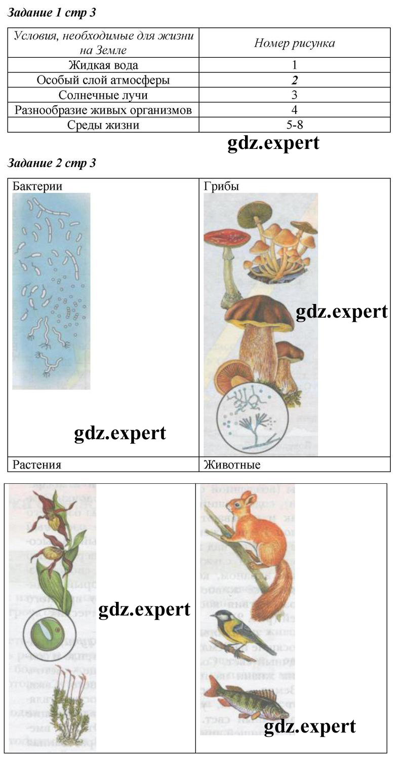 Страница : 3 - решение Страница : 3 - решение