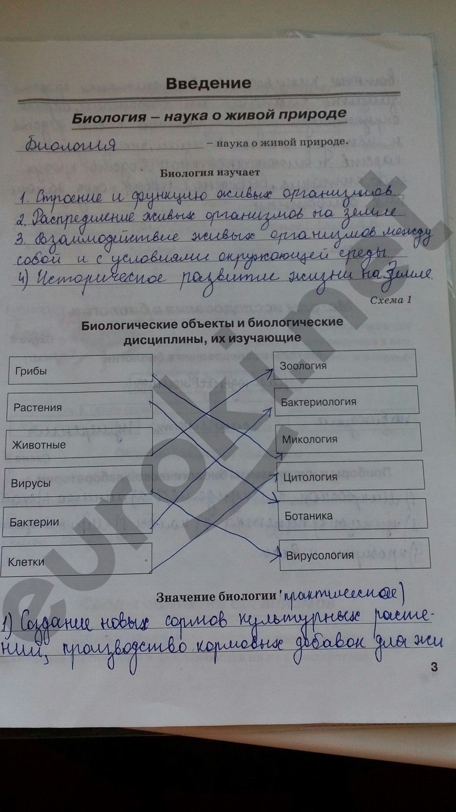 Задания из учебника: с.3 - решение Задания из учебника: с.3 - решение