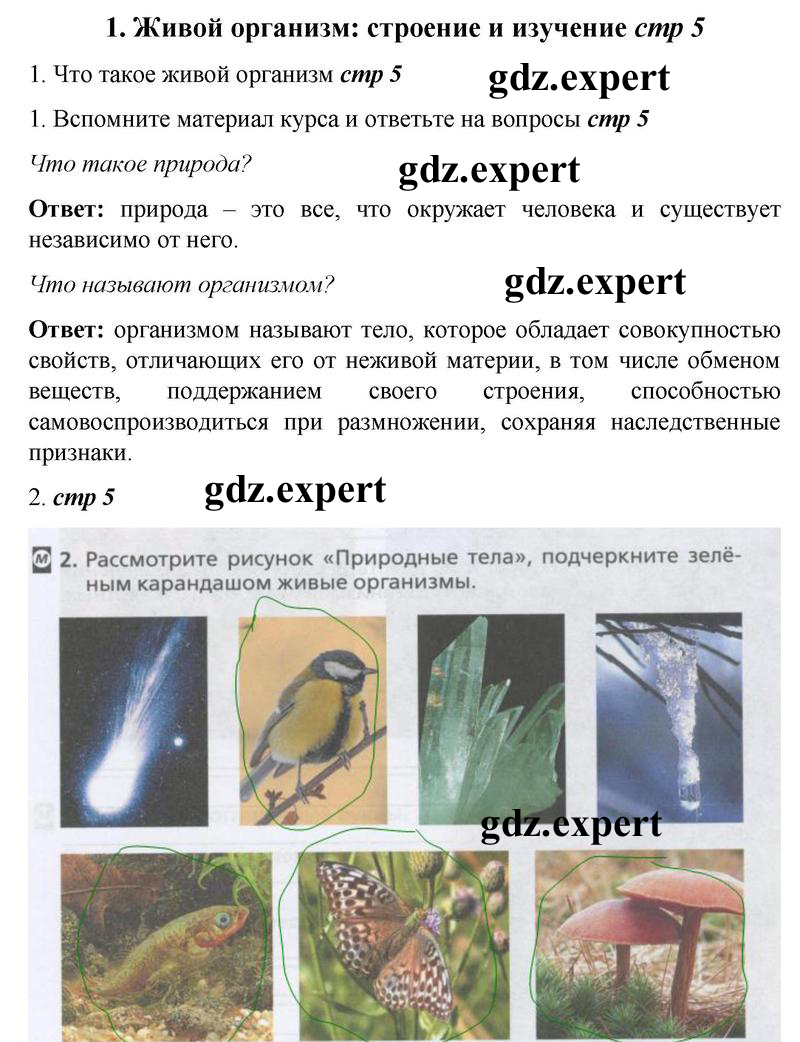Страница : 5 - решебник №1 Страница : 5 - решебник №1