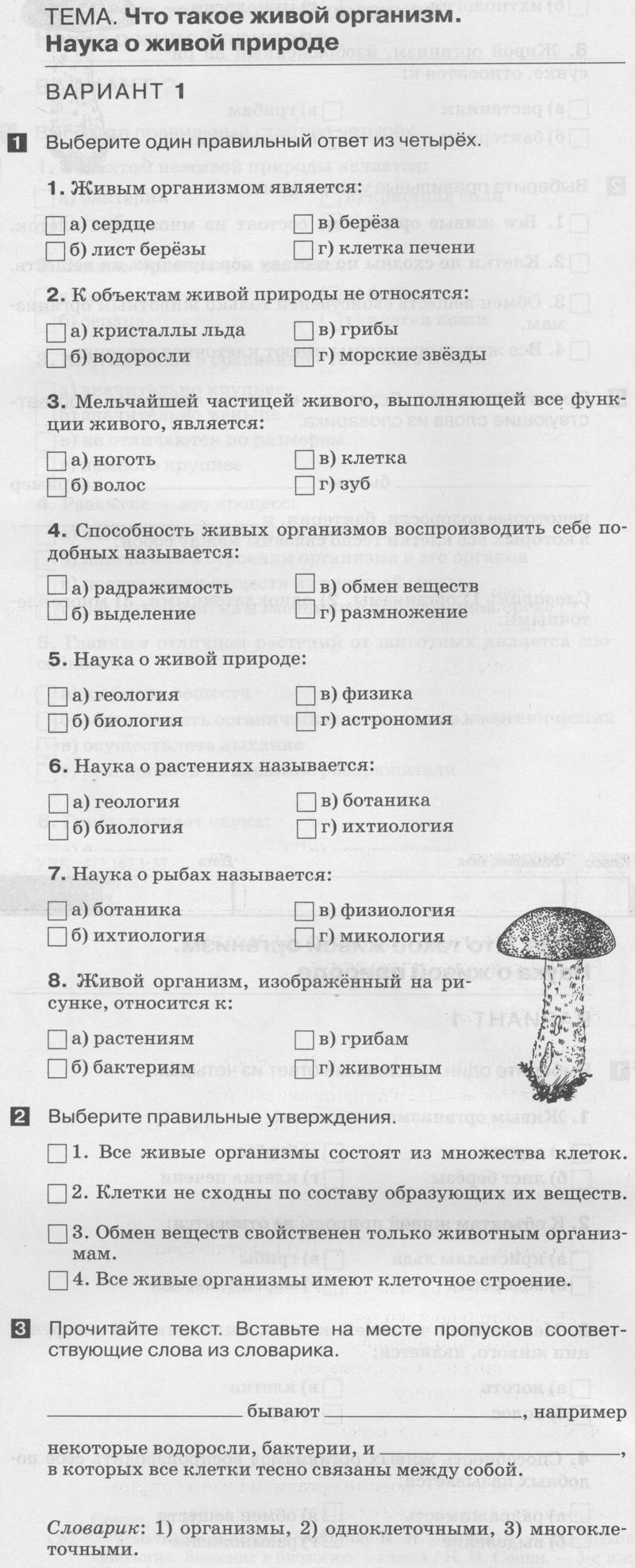 Стр. 3-6. Тест 1: Вариант 1 - условие