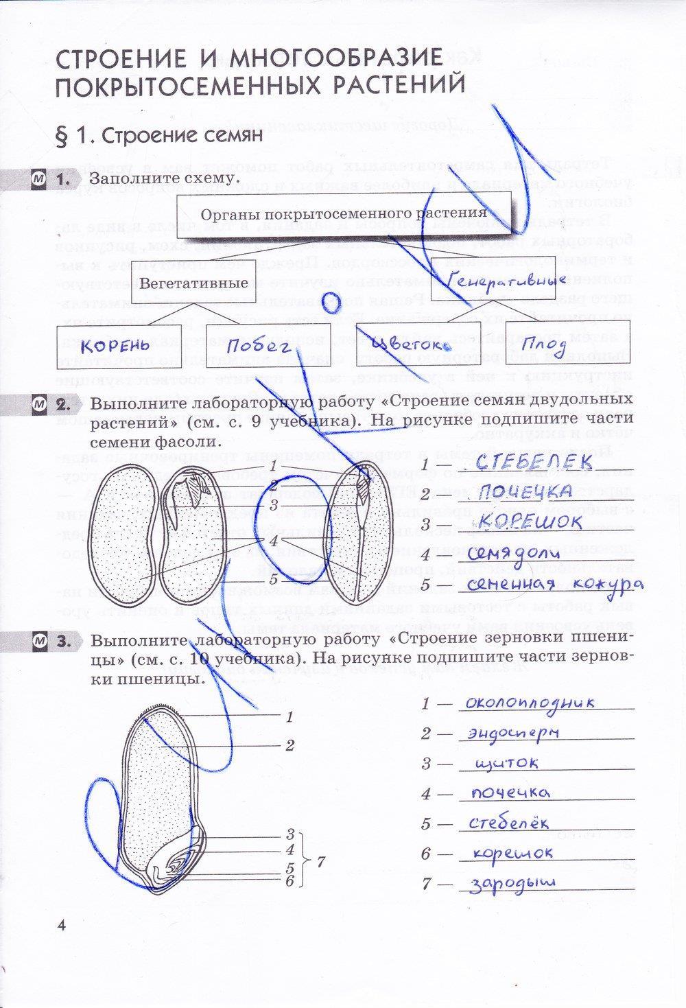 Задания из учебника: с.4 - решебник №2 Задания из учебника: с.4 - решебник №2