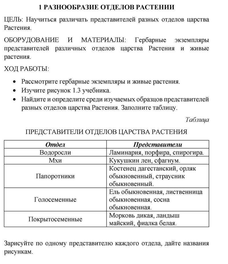 Страница : 8 - решебник №1