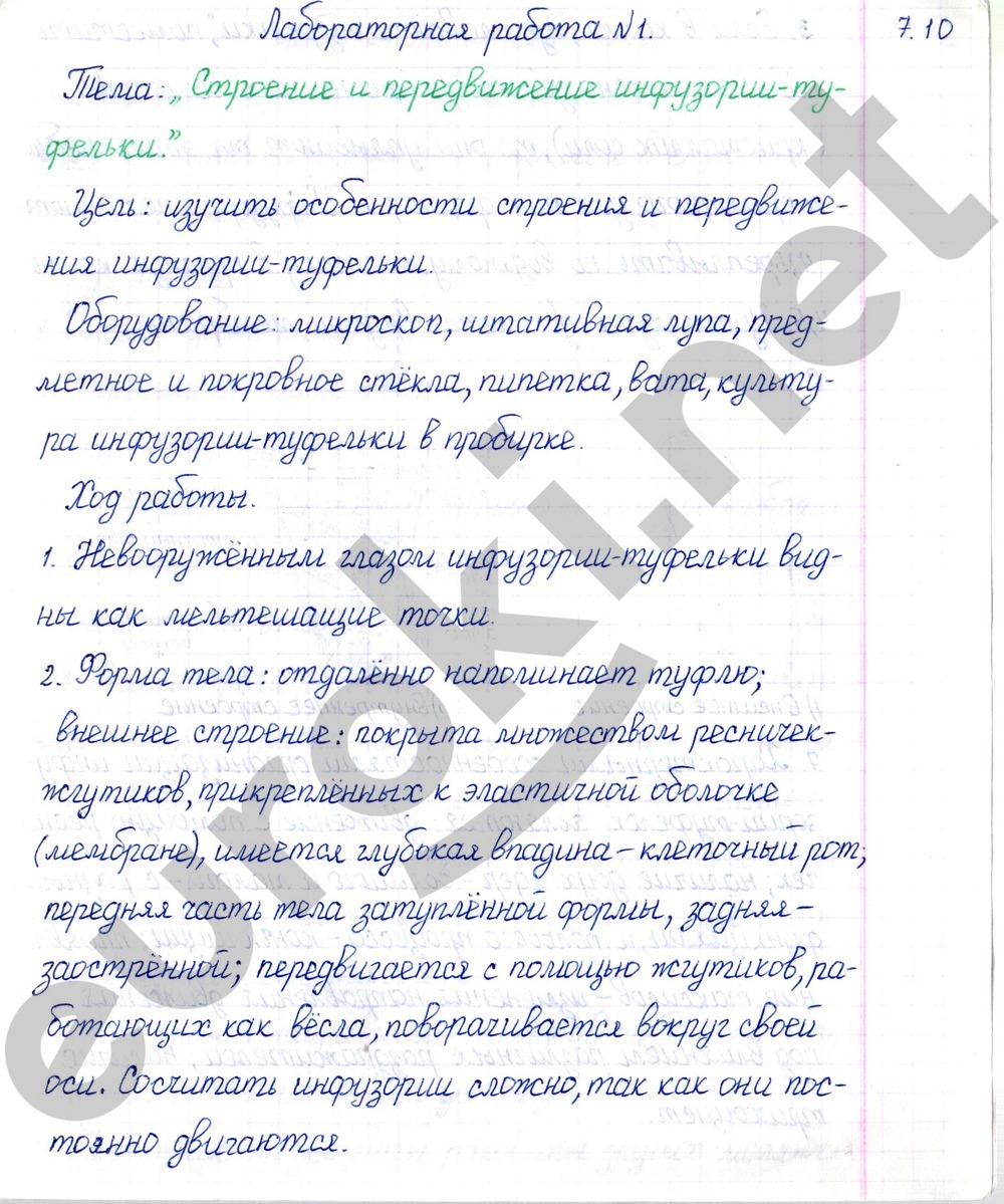 ЛР: №1 - решение ЛР: №1 - решение