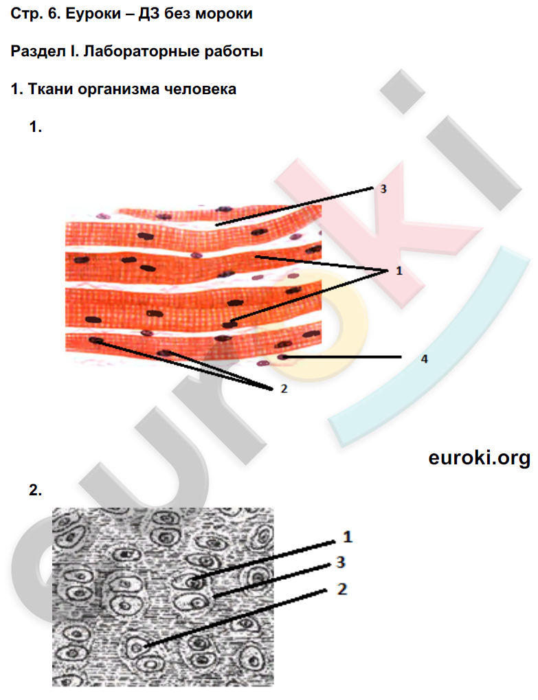 Задания из учебника: с.6 - решение Задания из учебника: с.6 - решение