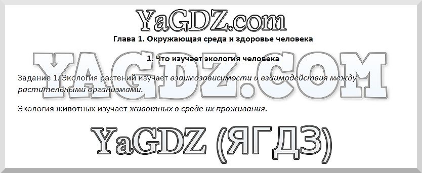 §1: 1 - решение