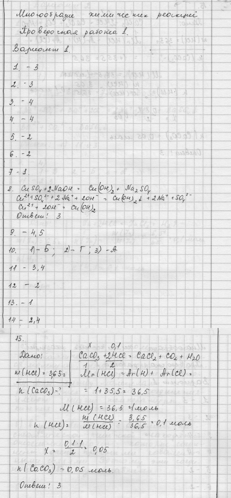 Проверочная работа №1. Многообразие химических реакций. Стр. 14-23 : Вариант 1 - решебник №1